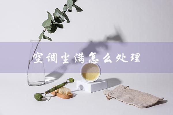 空调尘满怎么处理（美的空调尘满怎处理）