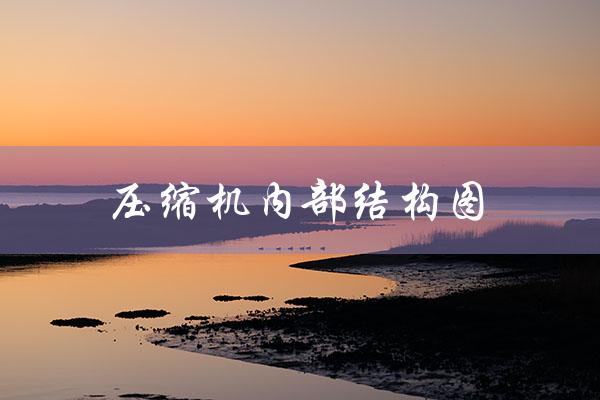 压缩机内部结构图（汽车空调压缩机内部结构是什么）