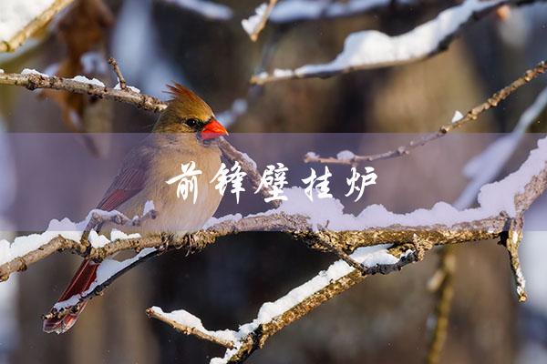 前锋壁挂炉（前锋壁挂炉售后电话是多少）