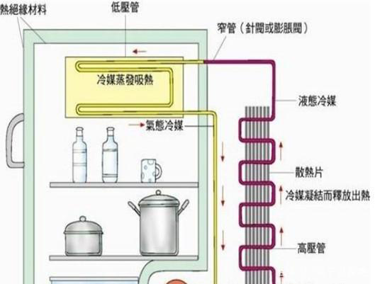 三开门冰箱尺寸长宽高是多少（如何挑选节能冰箱）